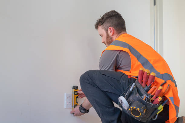 Best Electric Panel Repair  in New Ulm, MN
